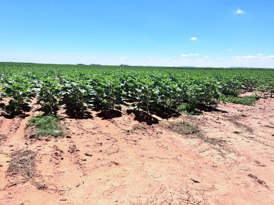 Commercial Property for Sale in Bloemfontein Rural Free State